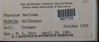 Image Associated With the Occurence